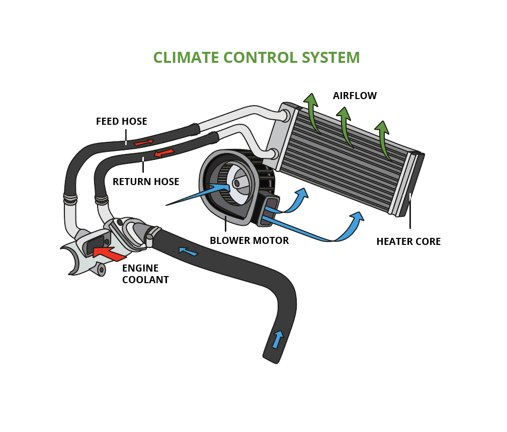 Quick Tips: A Few Things You Should Know About Changing Your Rear Wiper  Blade - ECOGARD