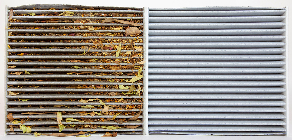 Cabin air filter and engine air filter deals